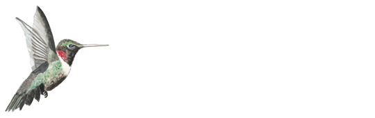 Hummingbird Charitable Foundation